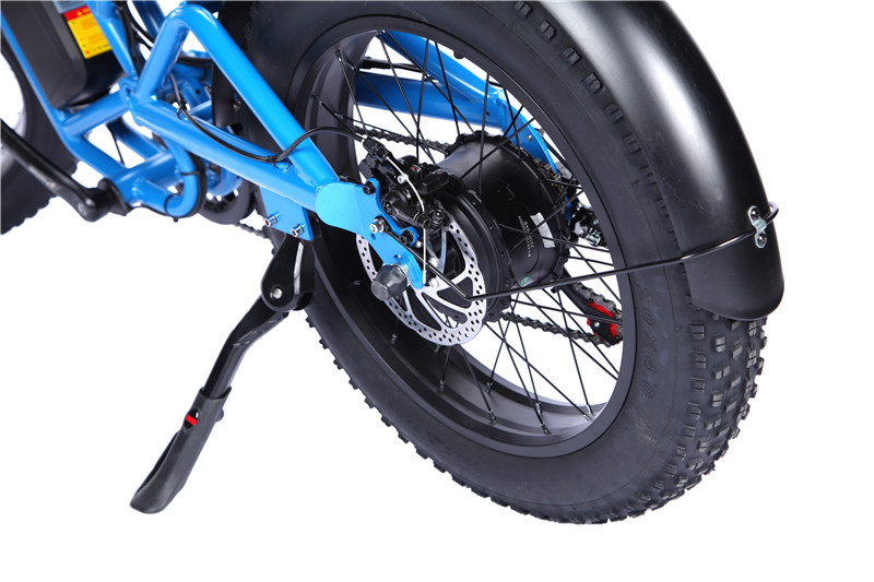 US EU Ready for Shipment T20-C Fatbike 48v Fat Tire 20 Inch Beach Cruiser Electric Fat Bike 500W 750w Snow Electric Bike (1)